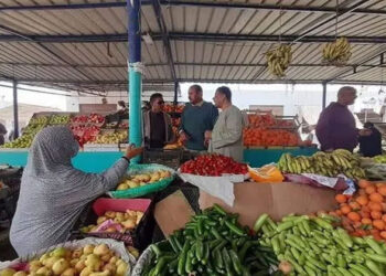 أسعار الخضار والفاكهة اليوم الخميس