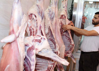 أسعار اللحوم الحمراء اليوم الجمعة