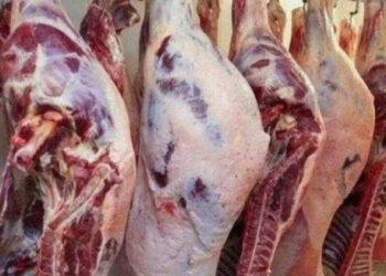 أسعار اللحوم الحمراء اليوم الأحد