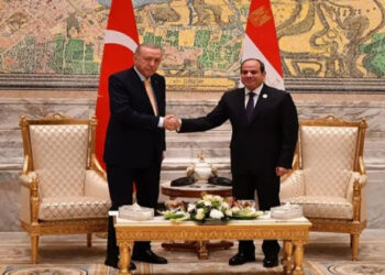 الرئيس السيسي يلتقي نظيره التركي على هامش قمة الدول الثماني النامية للتعاون الاقتصادي