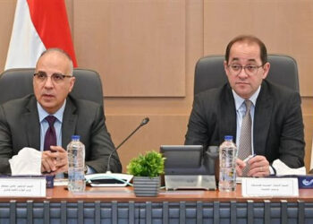 وزيرا المالية والري يبحثان التنسيق المشترك بين الوزارتين فى العديد من الملفات