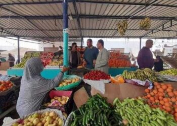 أسعار الخضار والفاكهة اليوم الثلاثاء