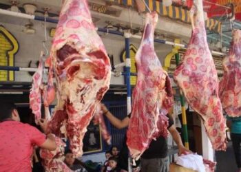 أسعار اللحوم اليوم في الأسواق