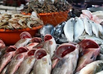 أسعار الأسماك في سوق العبور اليوم الثلاثاء