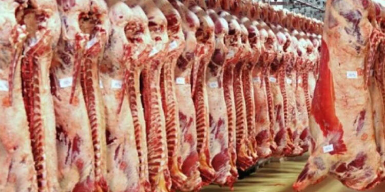 أسعار اللحوم الحمراء اليوم السبت