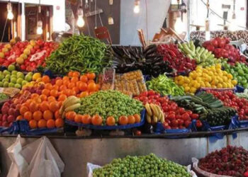 أسعار الخضار والفاكهة اليوم الثلاثاء