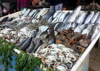 أسعار الأسماك في سوق العبور اليوم السبت