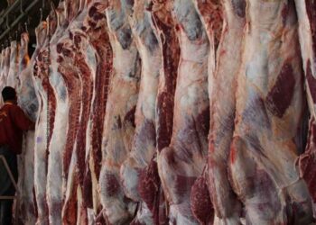 أسعار اللحوم الحمراء اليوم السبت