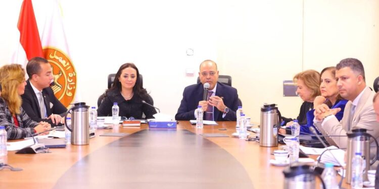 عضو القومي لحقوق الإنسان: قانون العمالة المنزلية الجديد خطوة محورية تحميهم