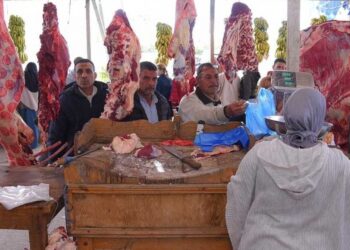 أسعار اللحوم الحمراء اليوم الأربعاء