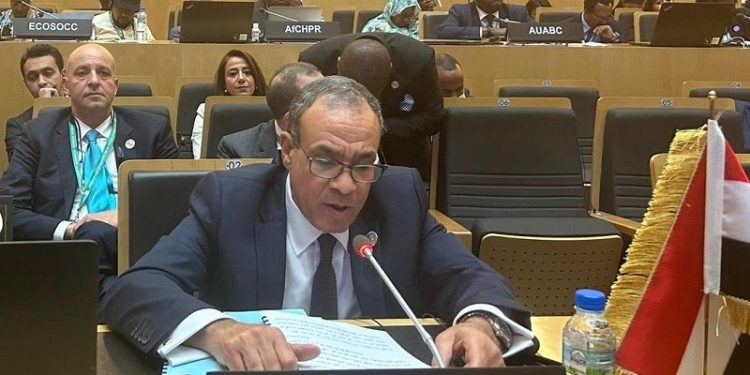 وزير الخارجية والهجرة يلقي كلمة مصر في اجتماع المجلس التنفيذي للاتحاد الإفريقي