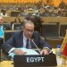 وزير الخارجية والهجرة يلقي كلمة مصر في اجتماع المجلس التنفيذي للاتحاد الإفريقي