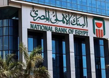 البنك الأهلي المصري يحقق مؤشرات قياسية للمتحصلات الخاصة بالقنوات البديلة عام 2024