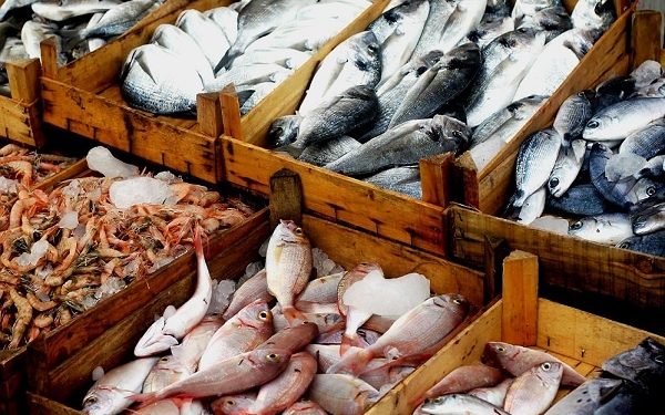 أسعار الأسماك في سوق العبور اليوم الأربعاء
