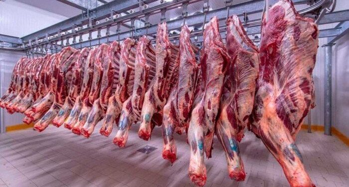 أسعار اللحوم الحمراء اليوم الخميس