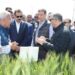 وزير الزراعة ورئيس جهاز مستقبل مصر ومحافظ كفر الشيخ يتفقدون عدد من الأنشطة الزراعية بالمحافظة