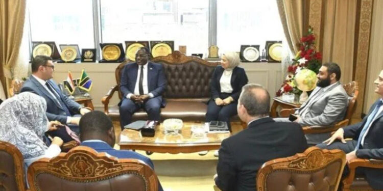 وزير الإسكان يستقبل السفير التنزانى لبحث تعزيز فرص ومجالات التعاون