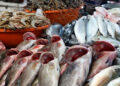 أسعار الأسماك في الأسواق اليوم الخميس