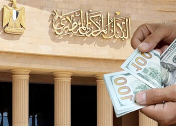 المركزي: 20.0 مليار دولار حصيلة تحويلات المصريين بالخارج خلال أول 7 أشهر من 2024-2025