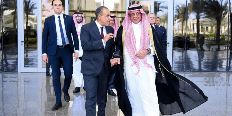 وزير الخارجية والهجرة يستقبل أمين مجلس التنسيق الأعلى المصري السعودي