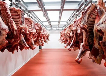 أسعار اللحوم الحمراء اليوم