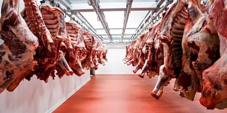 أسعار اللحوم الحمراء اليوم