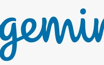 الشباب يشعرون بالقلق من عدم امتلاكهم المهارات الخضراء اللازمة لمواجهة تغيّر المناخ