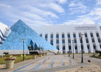 تقرير الجهاز القومي لتنظيم للاتصالات يكشف تفوق شبكة  “وي” على  منافسيها في خدمات تنزيل البيانات .. وبفارق كبير