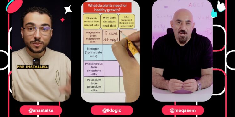 تيك توك تطلق موجز STEM في مصر لدعم المبتكرين