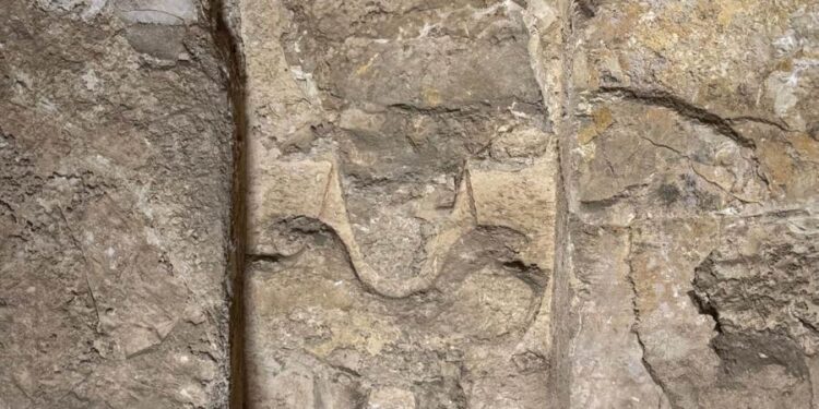 الكشف عن اسم وألقاب صاحب مقبرة Kampp23 بمنطقة العساسيف بالبر الغربي بالأقصر