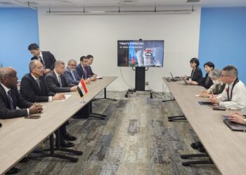 وزير الاتصالات يبحث التعاون مع شركات يابانية في الإلكترونيات والابتكار الرقمي