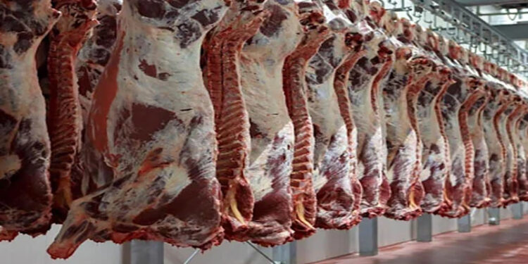 أسعار الدواجن والبيض في الأسواق اليوم الاربعاء