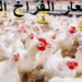 أسعار الدواجن والبيض في مصر اليوم الأحد