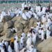 التضامن الاجتماعي: بدء تصعيد حجاج الجمعيات الأهلية إلى مشعر عرفات