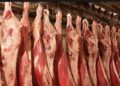 أسعار اللحوم الحمراء اليوم الجمعة