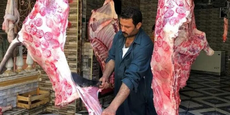 أسعار اللحوم الحمراء اليوم الثلاثاء