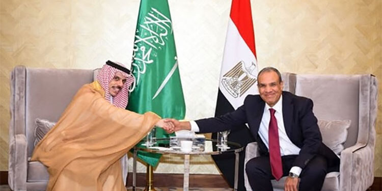 وزير الخارجية والهجرة يستقبل نظيره السعودي بمدينة العلمين