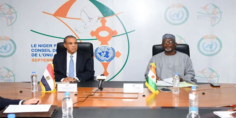 مشاورات سياسية بين وزيرى خارجية مصر والنيجر في نيامي