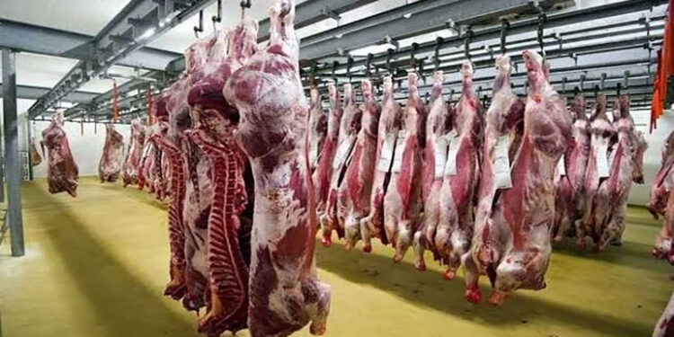 أسعار اللحوم الحمراء اليوم الثلاثاء