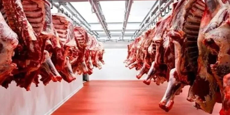 أسعار اللحوم الحمراء اليوم الإثنين