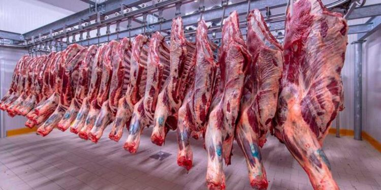 أسعار اللحوم الحمراء اليوم الخميس