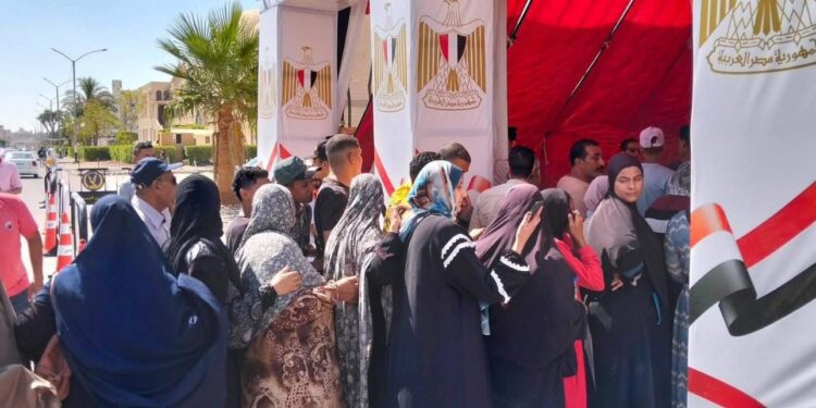 توافد متزايد من الشباب والسيدات على لجان بورسعيد في انتخابات الشيوخ