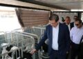 وزير الزراعة ومحافظ الشرقية يتفقدان مشروع الصالحية الزراعي المتكامل