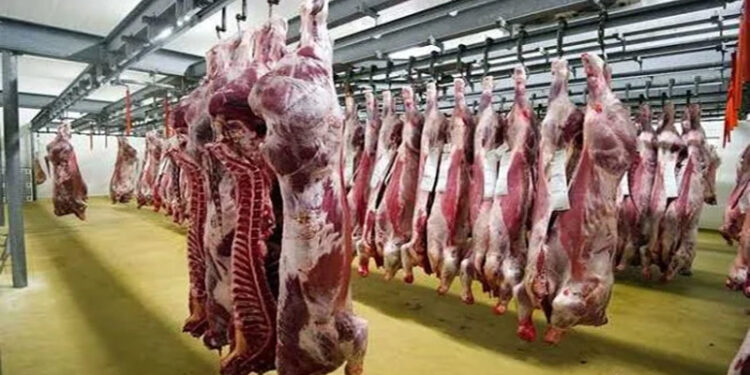 أسعار اللحوم الحمراء اليوم الأحد