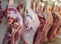 أسعار اللحوم الحمراء اليوم الاربعاء
