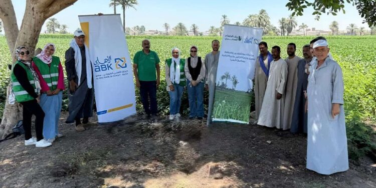 البنك الأهلي الكويتي – مصر يتعاون مع بنك الطعام لدعم المزارعين وأسرهم بالمنيا