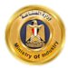 الصناعة تنفي ما تم تداوله بشأن إلغاء “بروتوكول الشحن الصيني” الخاص بالسيارات الكهربائية