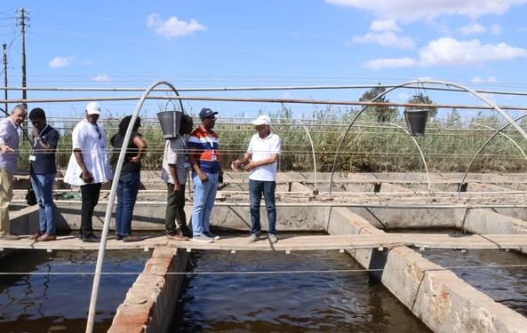 جهاز حماية وتنمية البحيرات والثروة السمكية: ختام البرنامج التدريبي لوفد غانا بمزرعة الزاوية