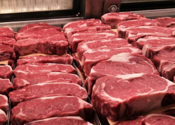 أسعار اللحوم في مصر اليوم الإثنين