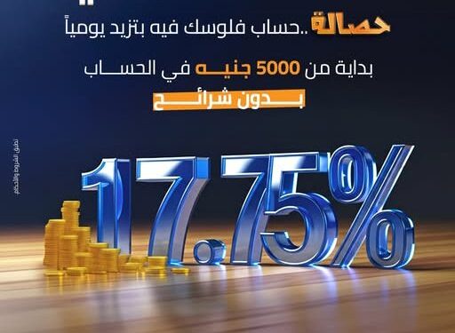 بنك التنمية الصناعية يعدل العائد علي حساب حصالة إلي 17.75%